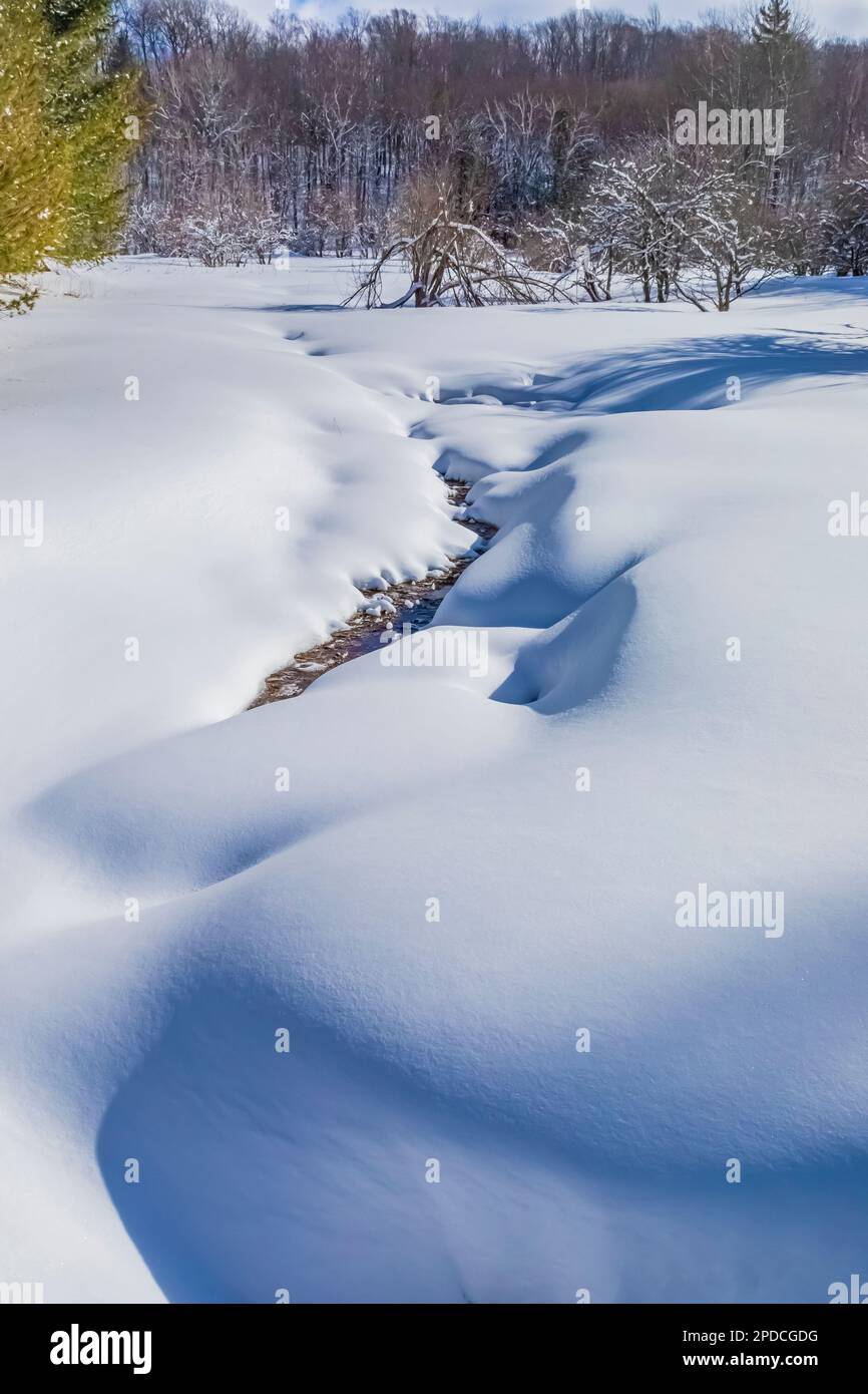 Petit ruisseau et neige fraîche le long des pistes de ski de Munising à Pictured Rocks National Lakeshore, Munising, Upper Peninsula, Michigan, États-Unis Banque D'Images