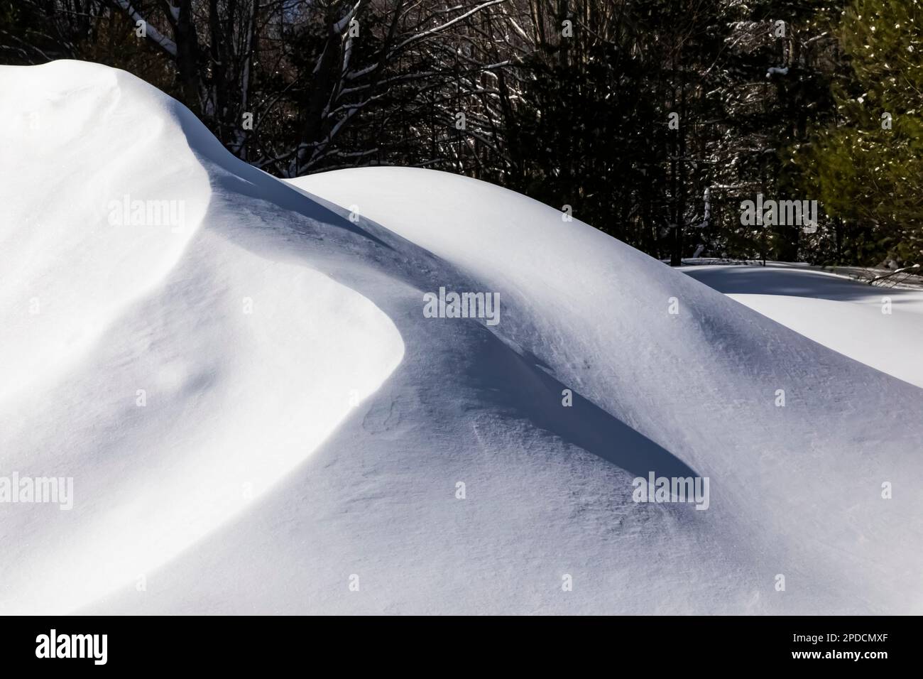 Snowdrift au début des pistes de ski de Munising à Pictured Rocks National Lakeshore, Munising, Upper Peninsula, Michigan, États-Unis Banque D'Images