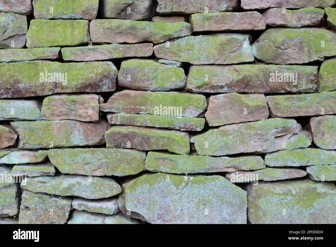 Gros plan d'une section de vieux mur de pierre sèche teinté de lichen bleu et vert Banque D'Images