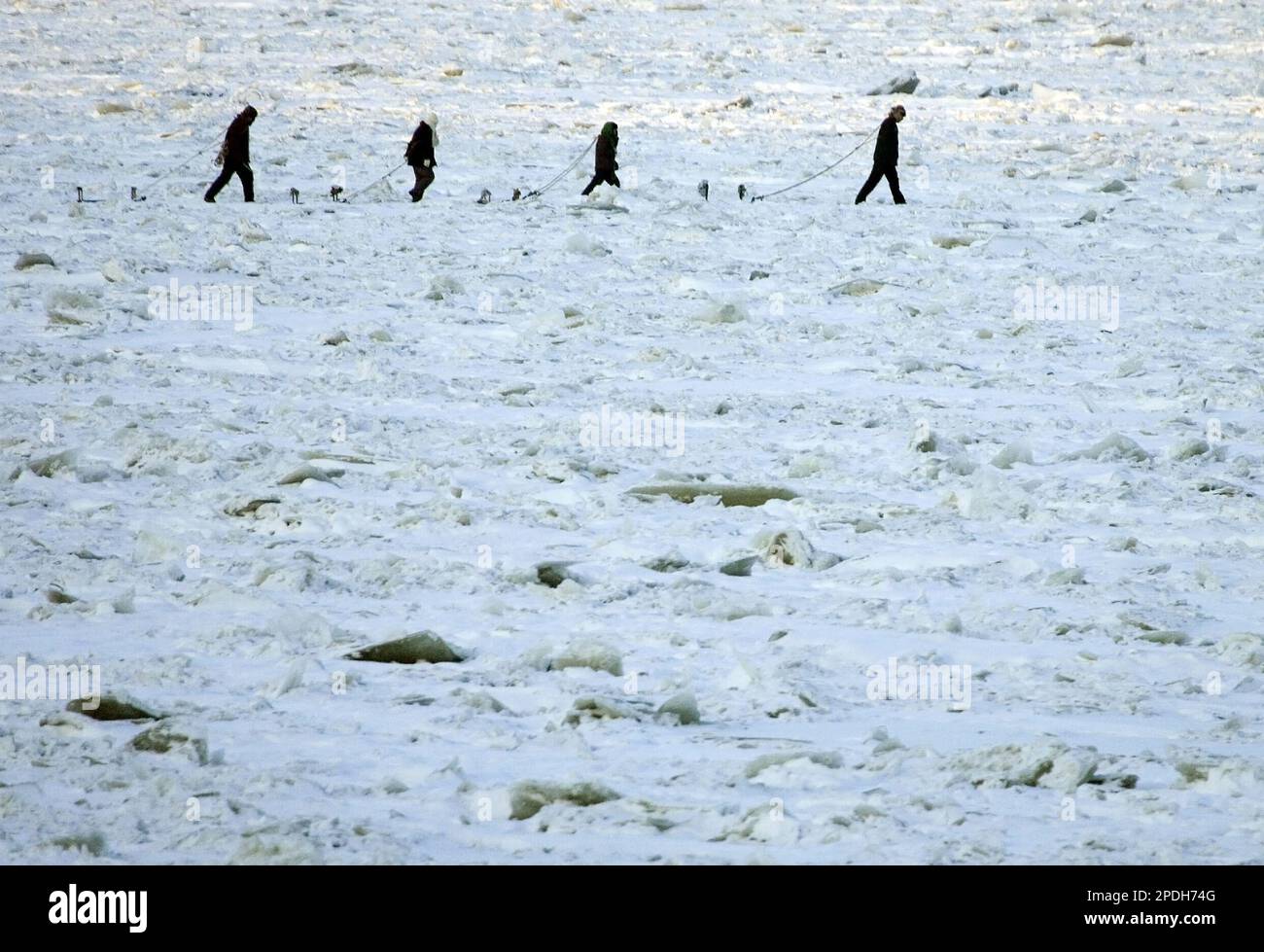 Chinese residents pulling sleds across the frozen Songhua river along the banks of Fujing city, Heilongjian province, northern China, Friday, Dec. 9, 2005. A slick of toxic benzene, which spilled into the river after a Nov. 13 chemical plant explosion, causing cities along the river to shut down water plants, is moving its way slowly through the ice packed river downstream from neighboring Jiamusi city. (AP Photo/Ng Han Guan) Banque D'Images