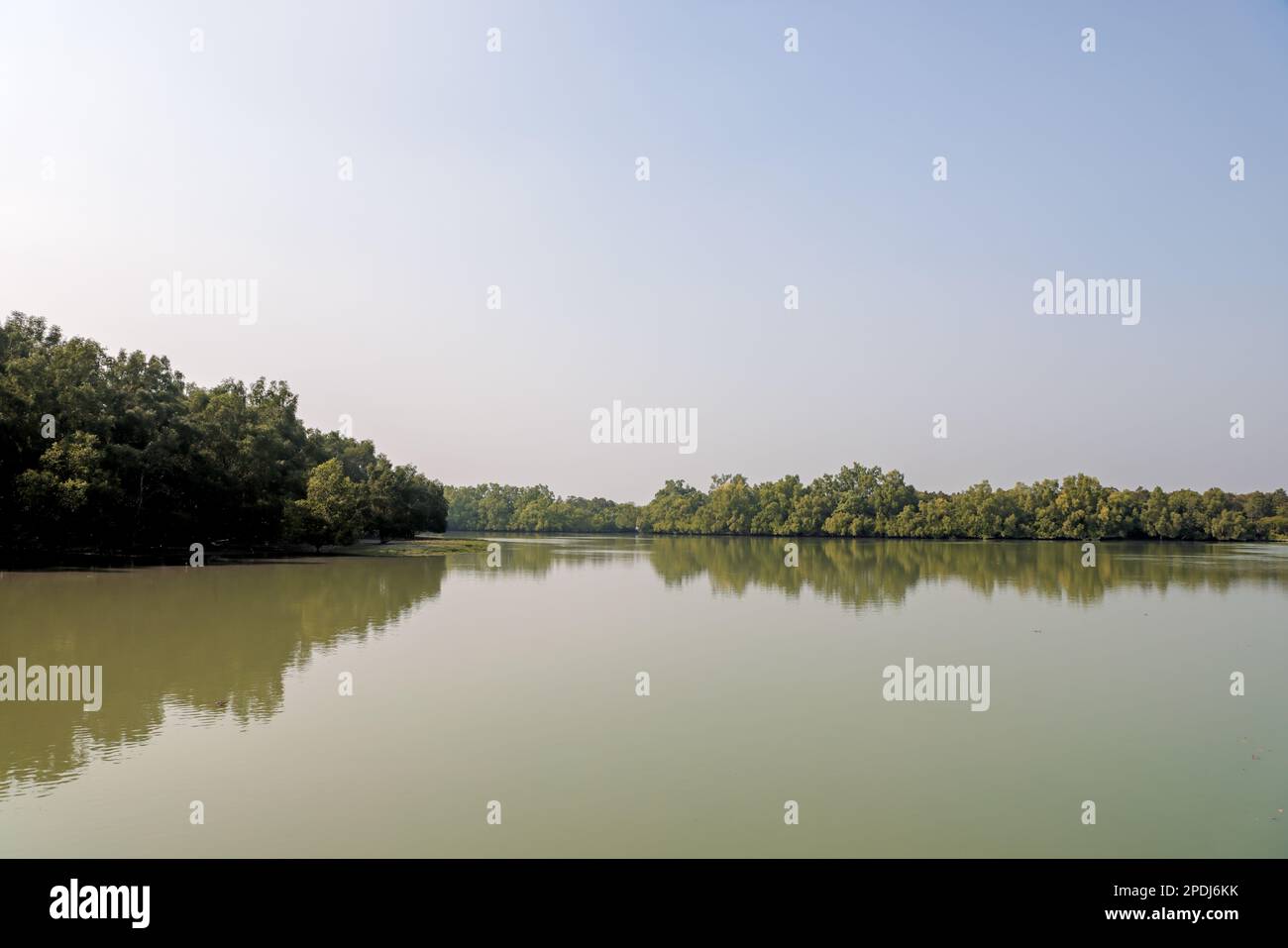 sundarbans est la plus grande forêt de mangroves au monde. cette photo a été prise du bangladesh. Banque D'Images