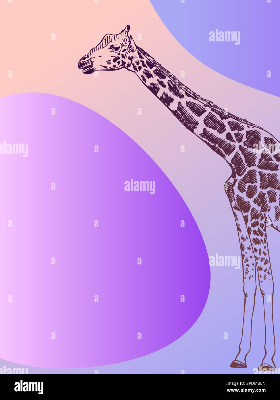 Bannière minimaliste avec croquis girafe et formes abstraites épurées, illustration vectorielle dessinée à la main Illustration de Vecteur