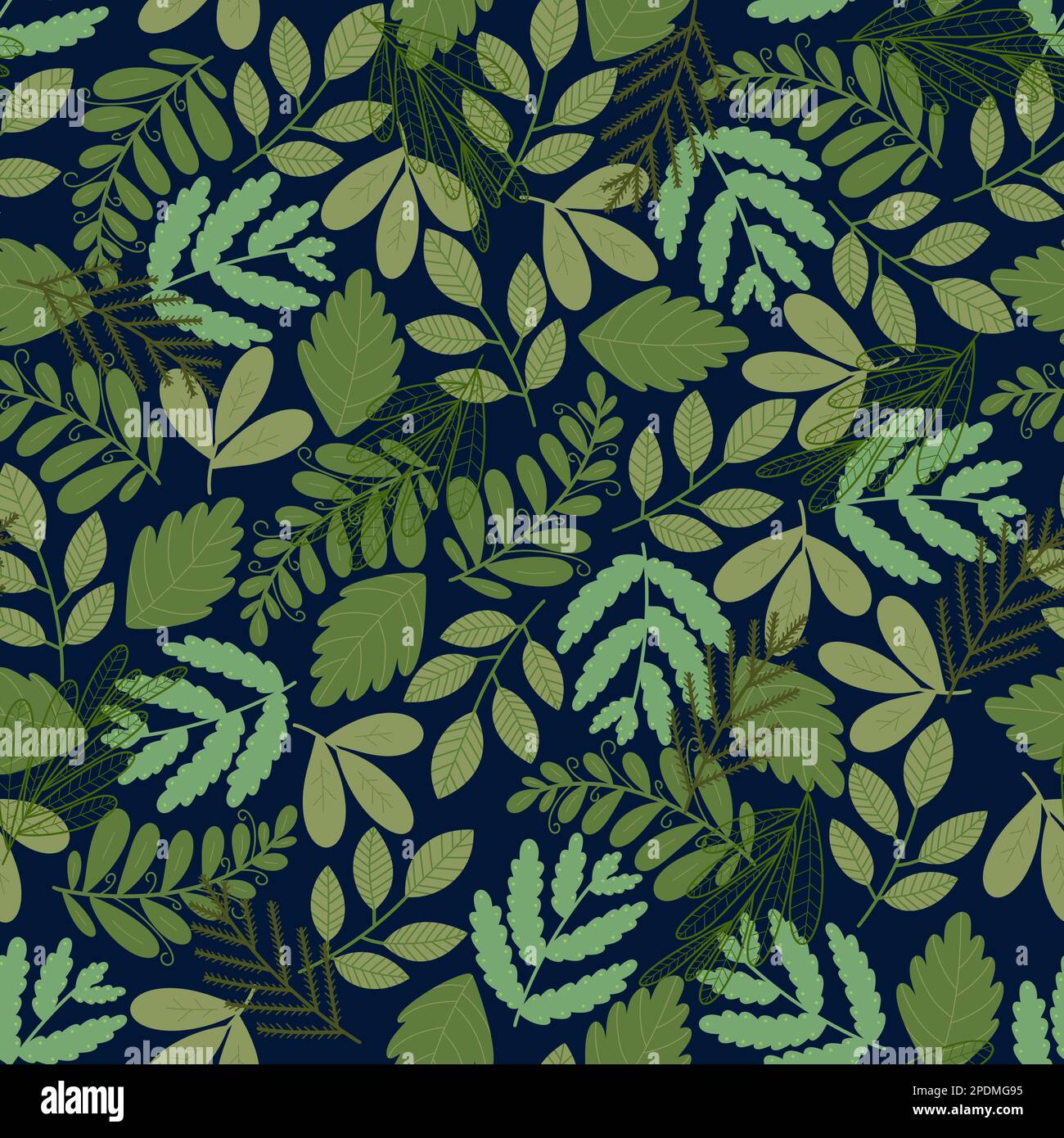 Motif sans couture. Imprimé botanique raster sur toute la surface avec diverses feuilles vertes sur fond noir. Illustration du ressort sans fin Banque D'Images