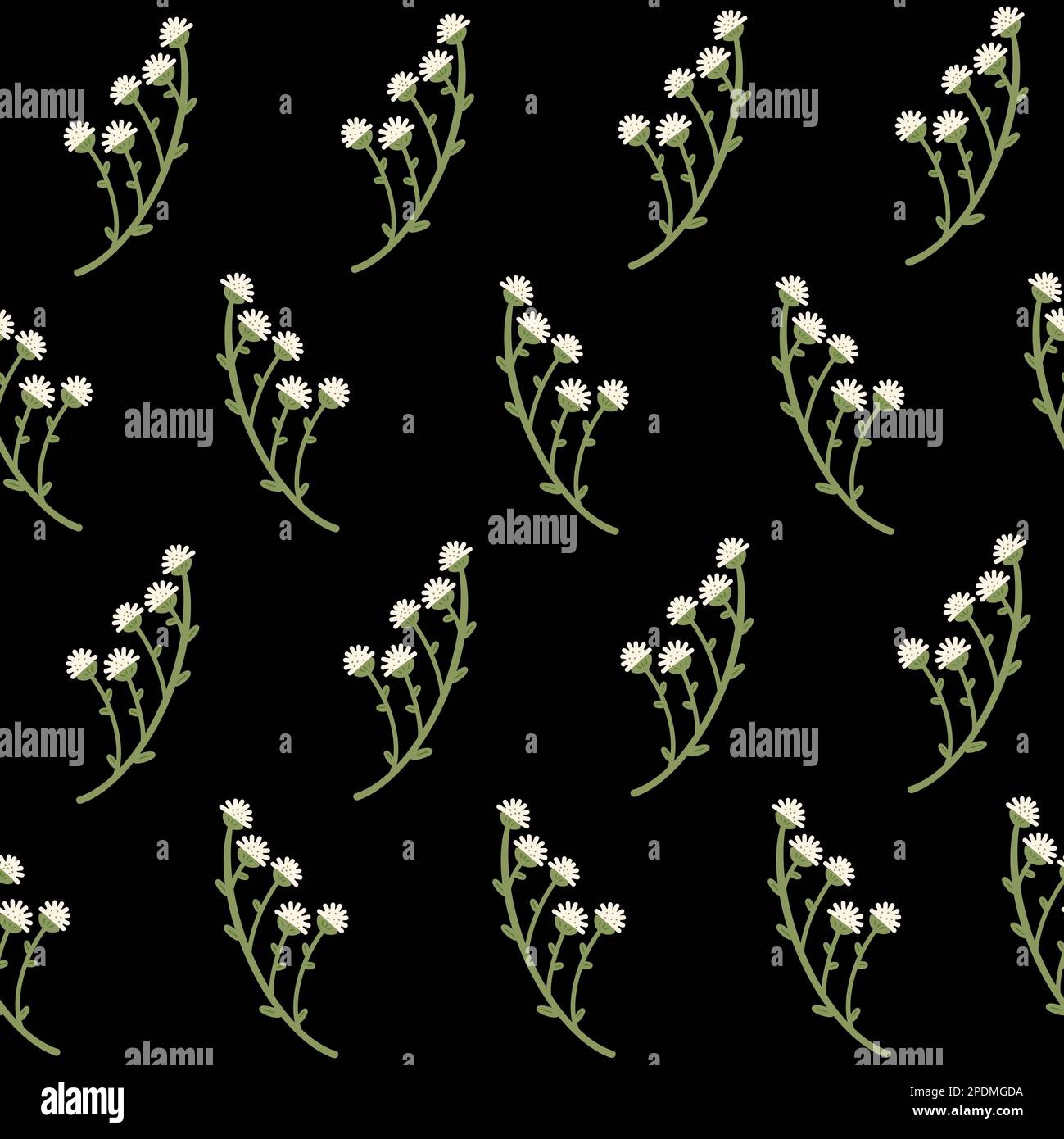 Motif fleuri délicat sans couture. Petits pains à fleurs blancs sur fond noir. Imprimé raster tendance sur toute la surface Banque D'Images