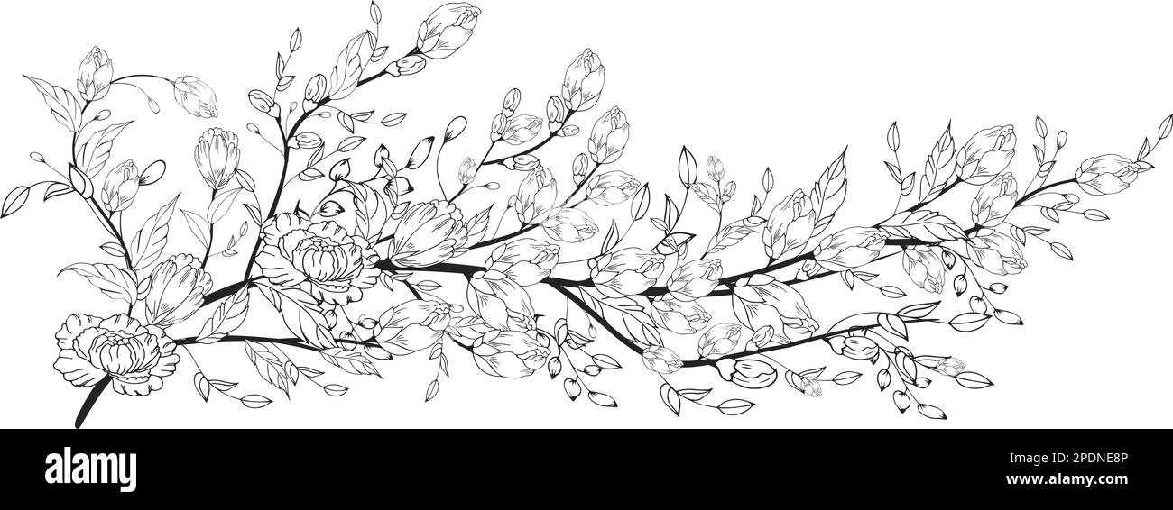 Une belle branche en fleurs, richement décorée avec des fleurs, des bourgeons et des feuilles. Dessin à la main. Illustration de Vecteur