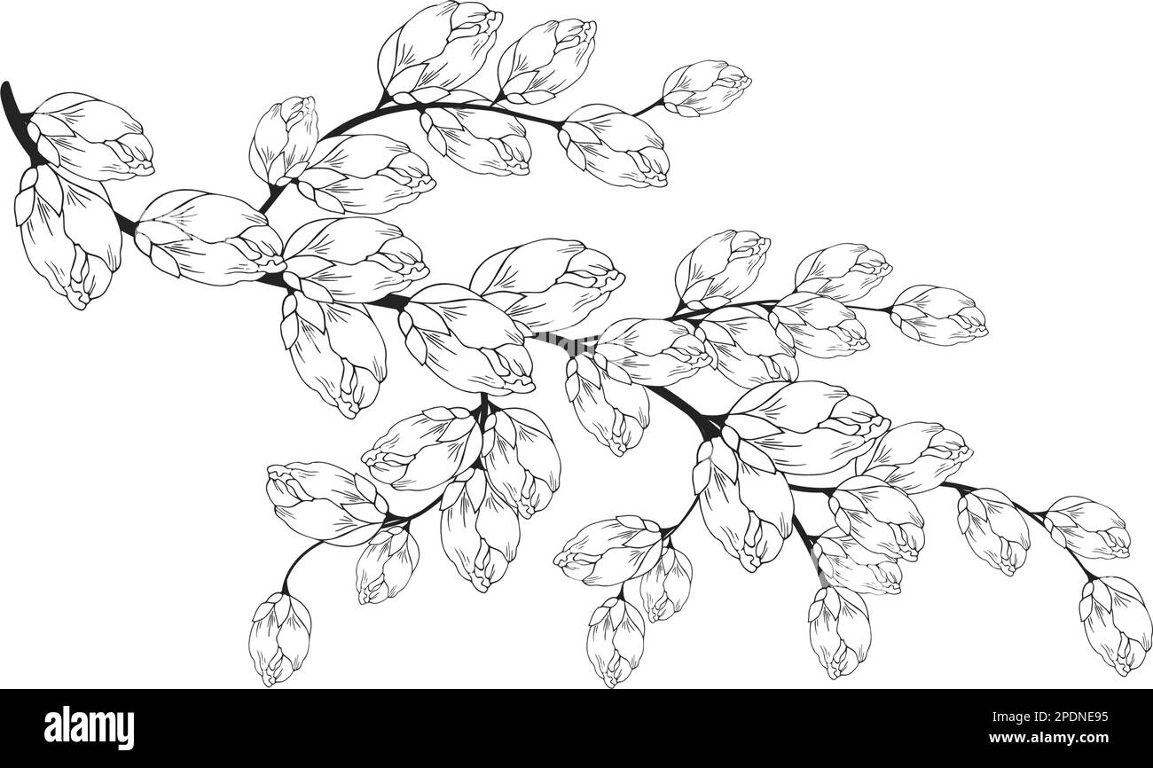 Une belle branche en fleurs, richement décorée avec des fleurs, des bourgeons et des feuilles. Dessin à la main. Illustration de Vecteur