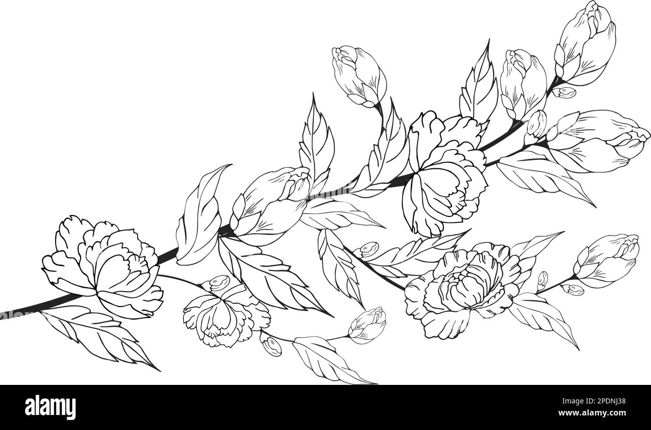 Une belle branche en fleurs, richement décorée avec des fleurs, des bourgeons et des feuilles. Dessin à la main. Illustration de Vecteur