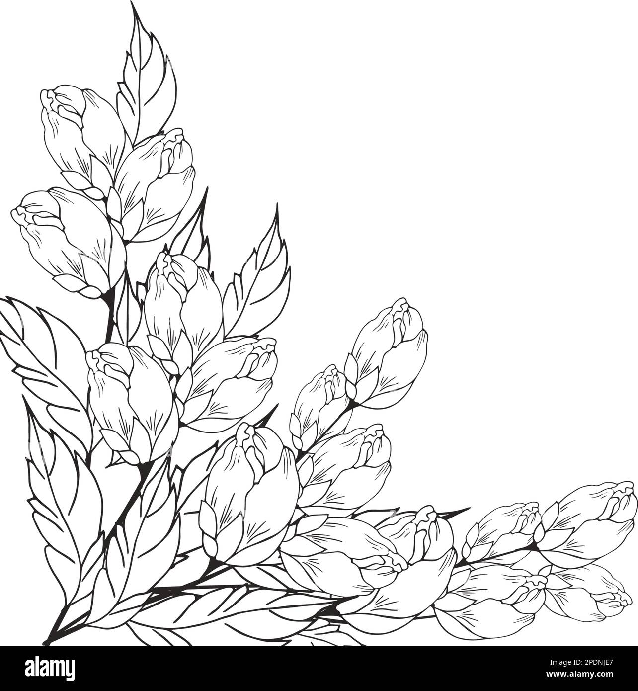 Une belle branche en fleurs, richement décorée avec des fleurs, des bourgeons et des feuilles. Dessin à la main. Illustration de Vecteur