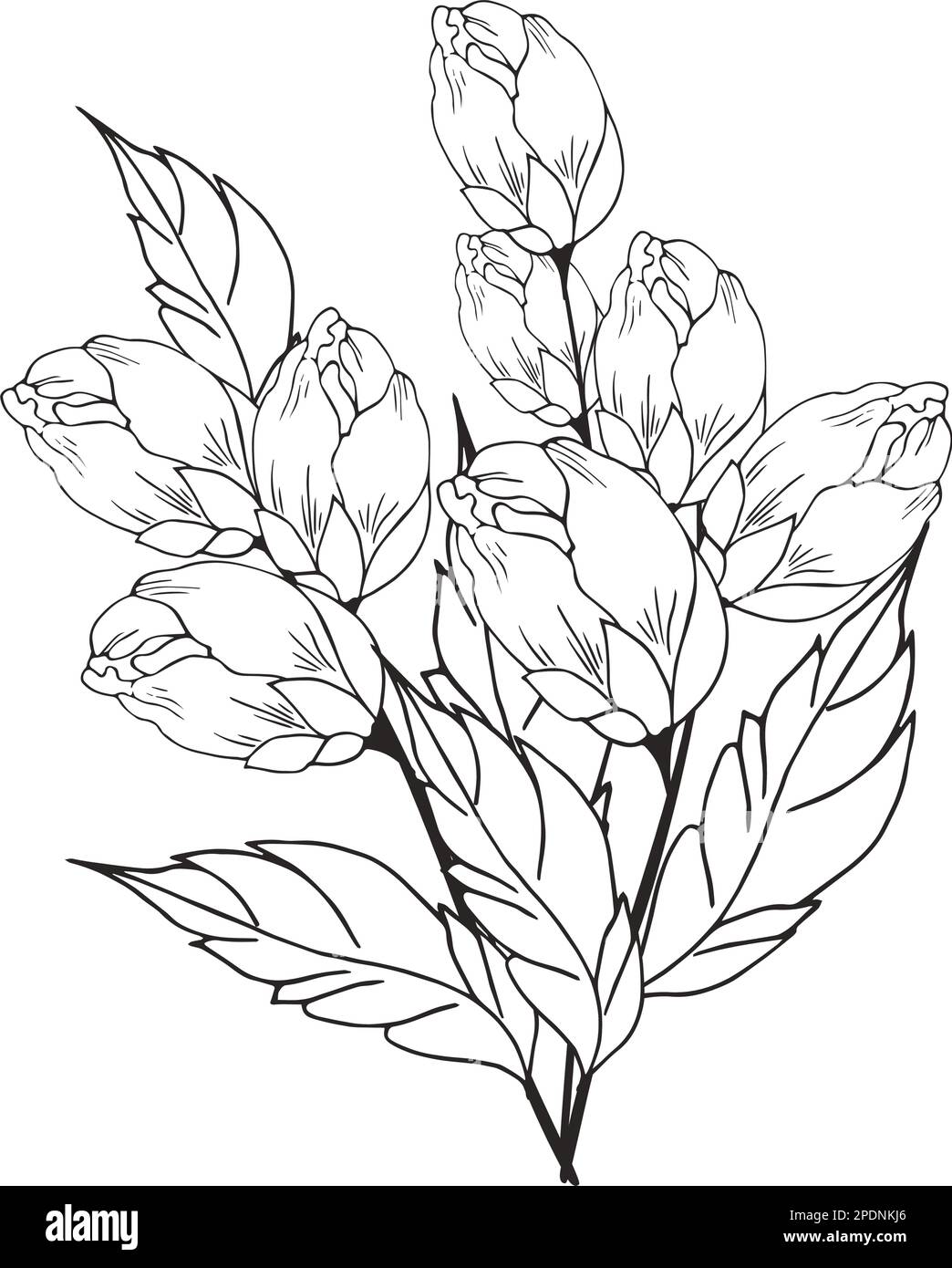 Une belle branche en fleurs, richement décorée avec des fleurs, des bourgeons et des feuilles. Dessin à la main. Illustration de Vecteur