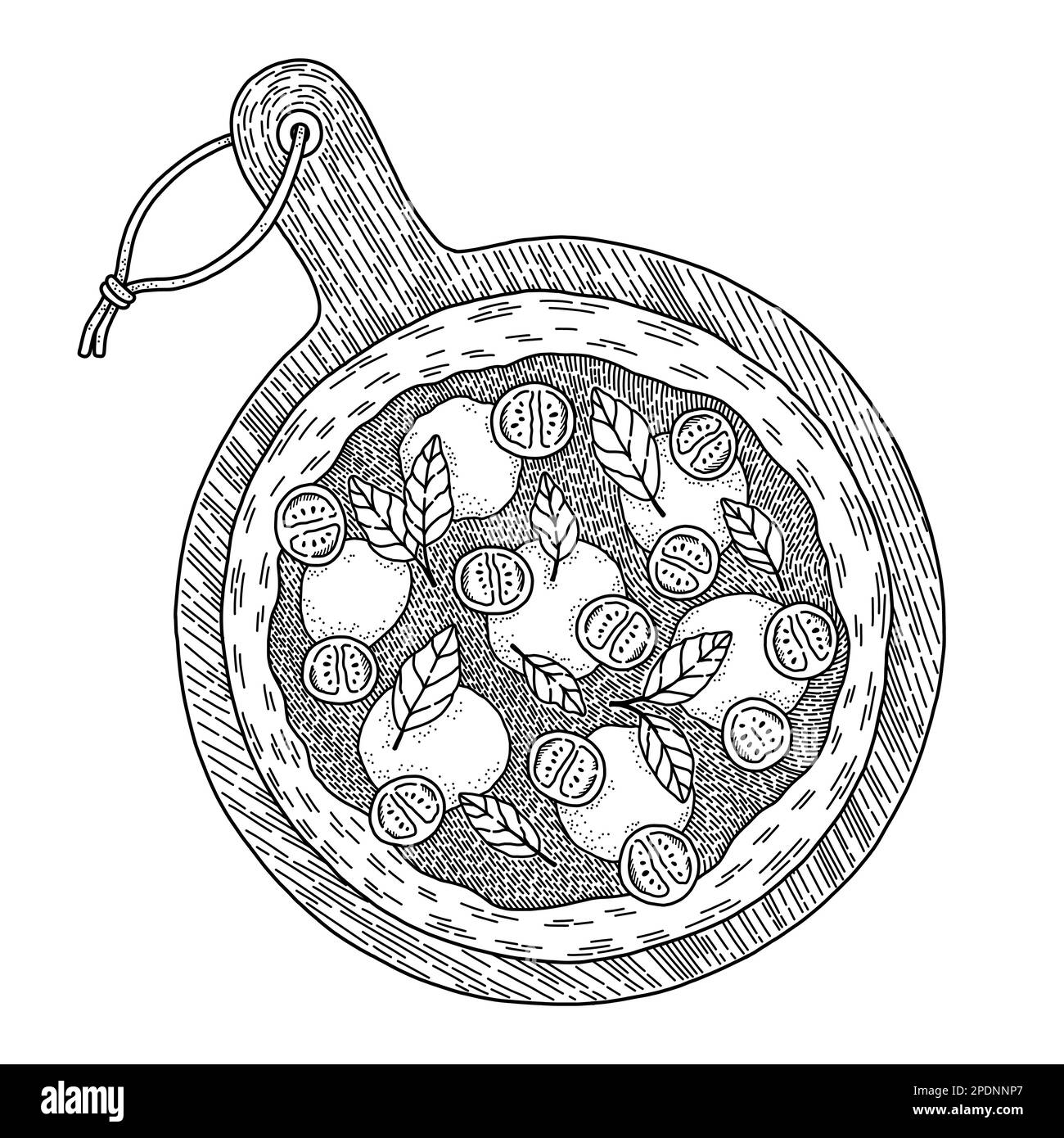 Pizza Margherita vue de dessus dans le style dessiné à la main. Idéal pour les dépliants, les menus, les bannières, les paquets et autres. Illustration de Vecteur