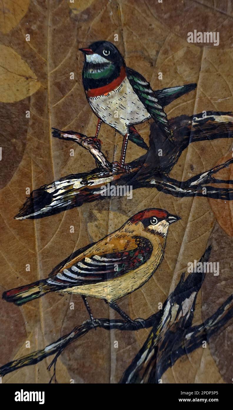 Art peinture Fine art couleur huile fond d'oiseaux de thaïlande Banque D'Images