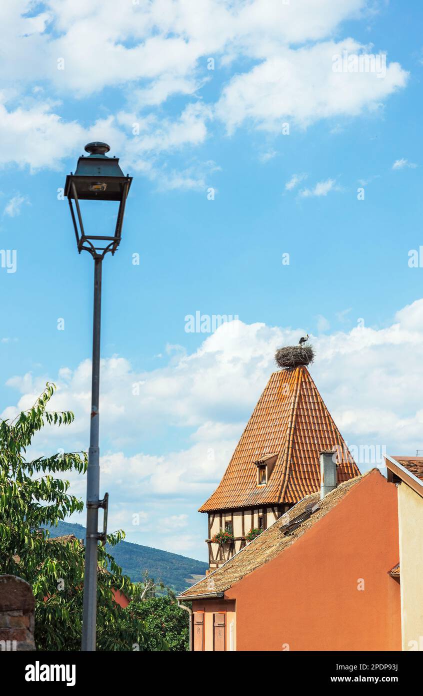 Cigognes dans un nid sur un toit dans un village d'Alsace en France Banque D'Images