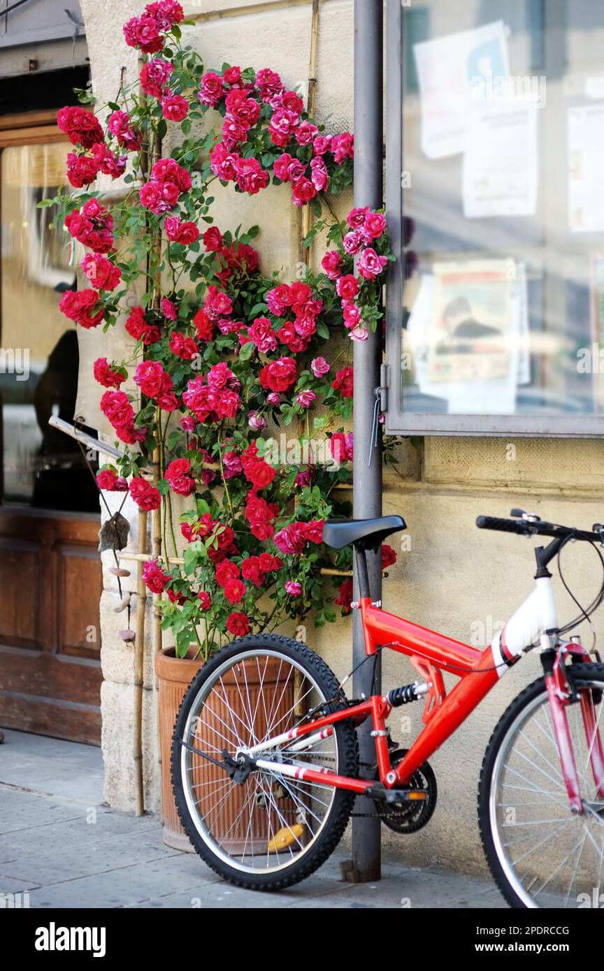 Vélo rouge et roses en fleur sur la vieille rue de la célèbre ville de Pitigliano, située au sommet d'une crête volcanique de tufa. Belles villes et villages italiens. Banque D'Images