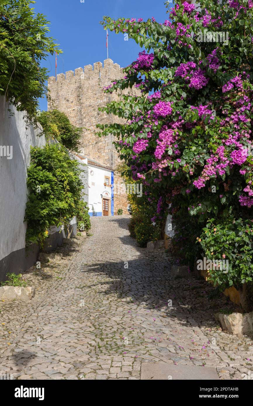 Rue pavée dans la vieille ville, Obidos, région centrale, Portugal, Europe Banque D'Images