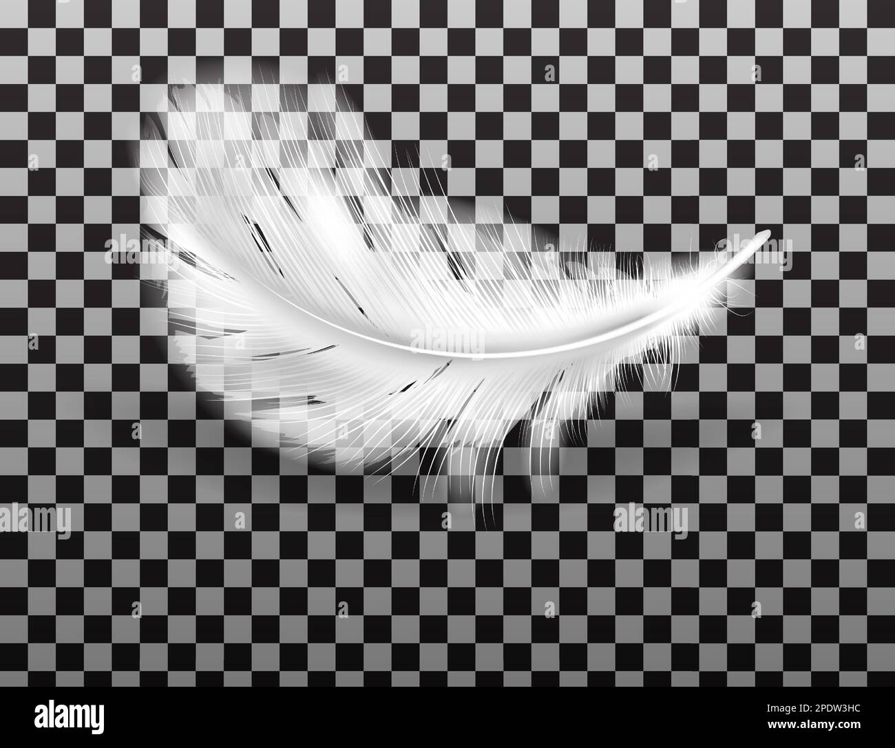 Plume blanche douce avec vecteur d'ombre réaliste isolée sur fond transparent. Plumes d'ailes d'oiseaux ou d'ange, symbole de douceur et de pureté, élément de conception Illustration de Vecteur