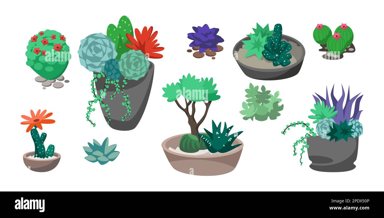 Collection de cactus tropicaux, de fleurs et de succulents avec des rochers Illustration de Vecteur