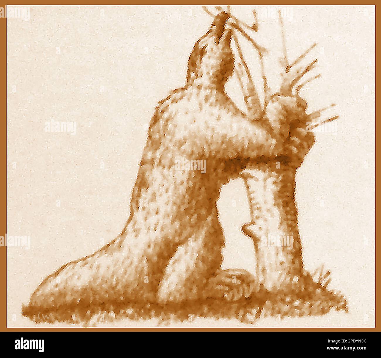 Une impression d'un artiste de 19th siècle de ce à quoi ressemblait un Megatherium éteint. L'extinction du sol géant de l'Amérique du Sud qui vivait dans les périodes Pliocène, Holocène et Pléistocène. Il s'est éteint il y a environ 12 000 ans lors de l'extinction quaternaire Banque D'Images