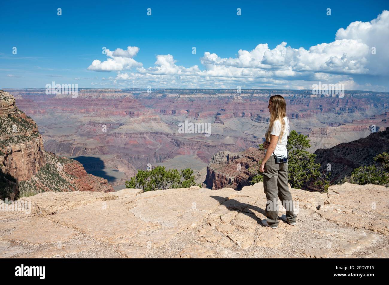 Jeune fille avec une des photos regardant le paysage magnifique du Grand Canyon Banque D'Images