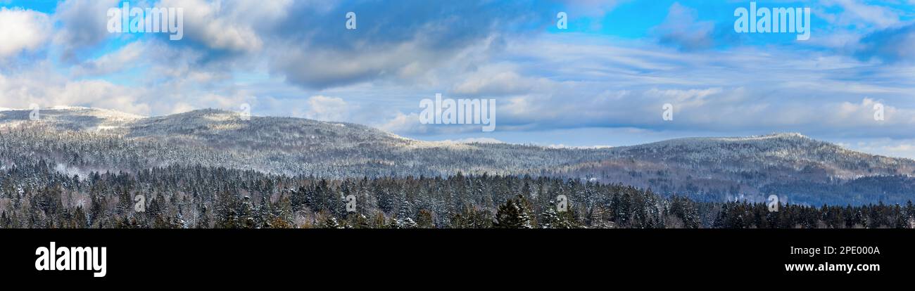 Paysage d'hiver dans les collines de la forêt bavaroise, Bavière, Allemagne. Banque D'Images