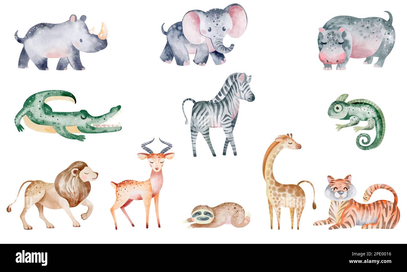 De belles illustrations tropicales aquarelle d'animaux, de plantes, de zèbre, de girafe, de tigre, lion, éléphant, rhinocéros, sloth. Isolé sur fond blanc Banque D'Images