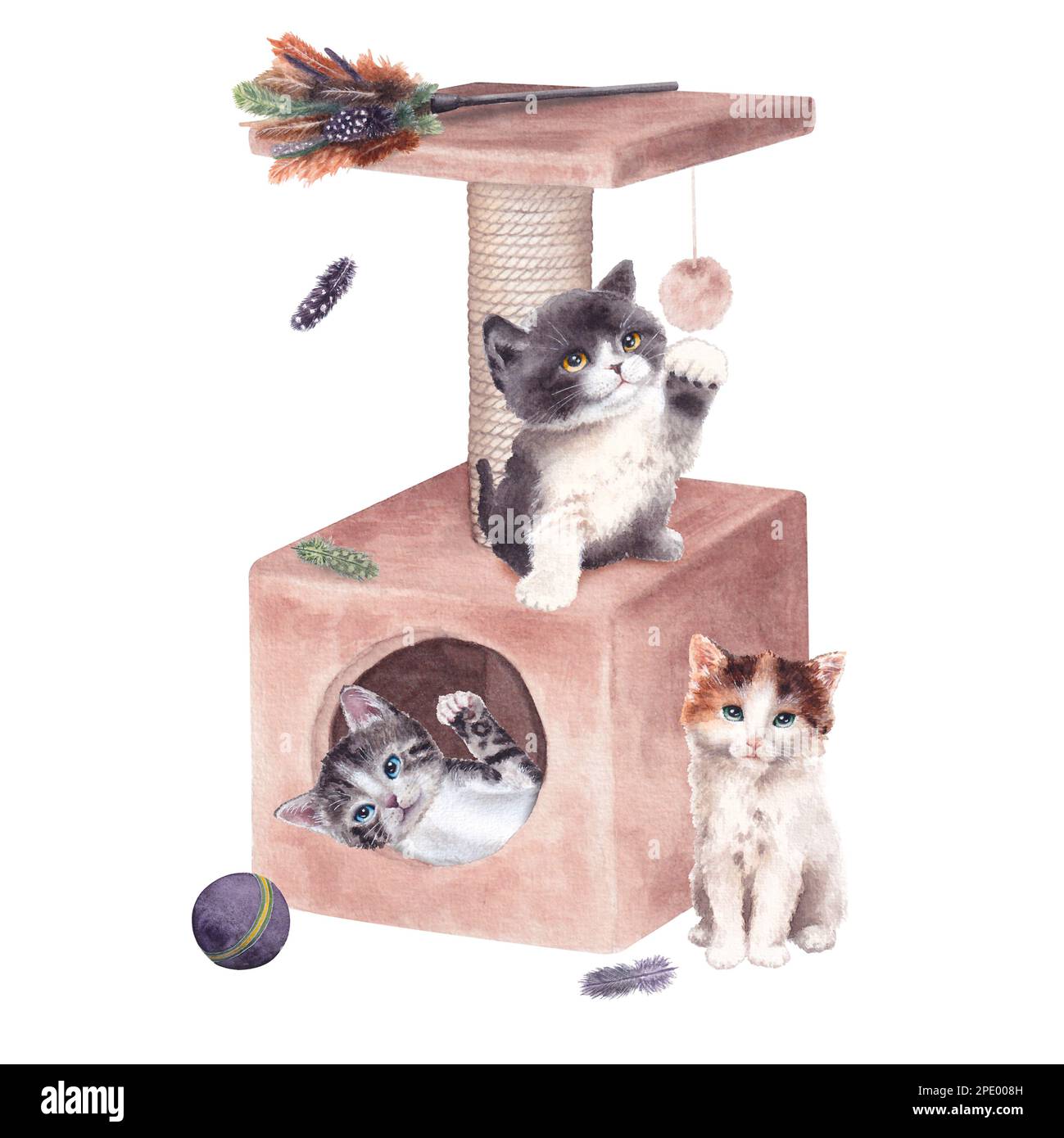 Trois chatons mignons jouent dans une maison de chat avec des jouets isolés sur un fond blanc. Illustration aquarelle. Pour l'impression, divers modèles ou cartes postales. Banque D'Images