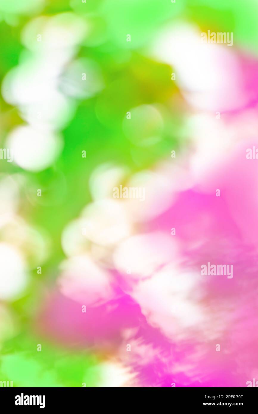 Résumé flou coloré multicolore couleur de fond de bokeh dégradé et espace de copie pour votre texte Banque D'Images