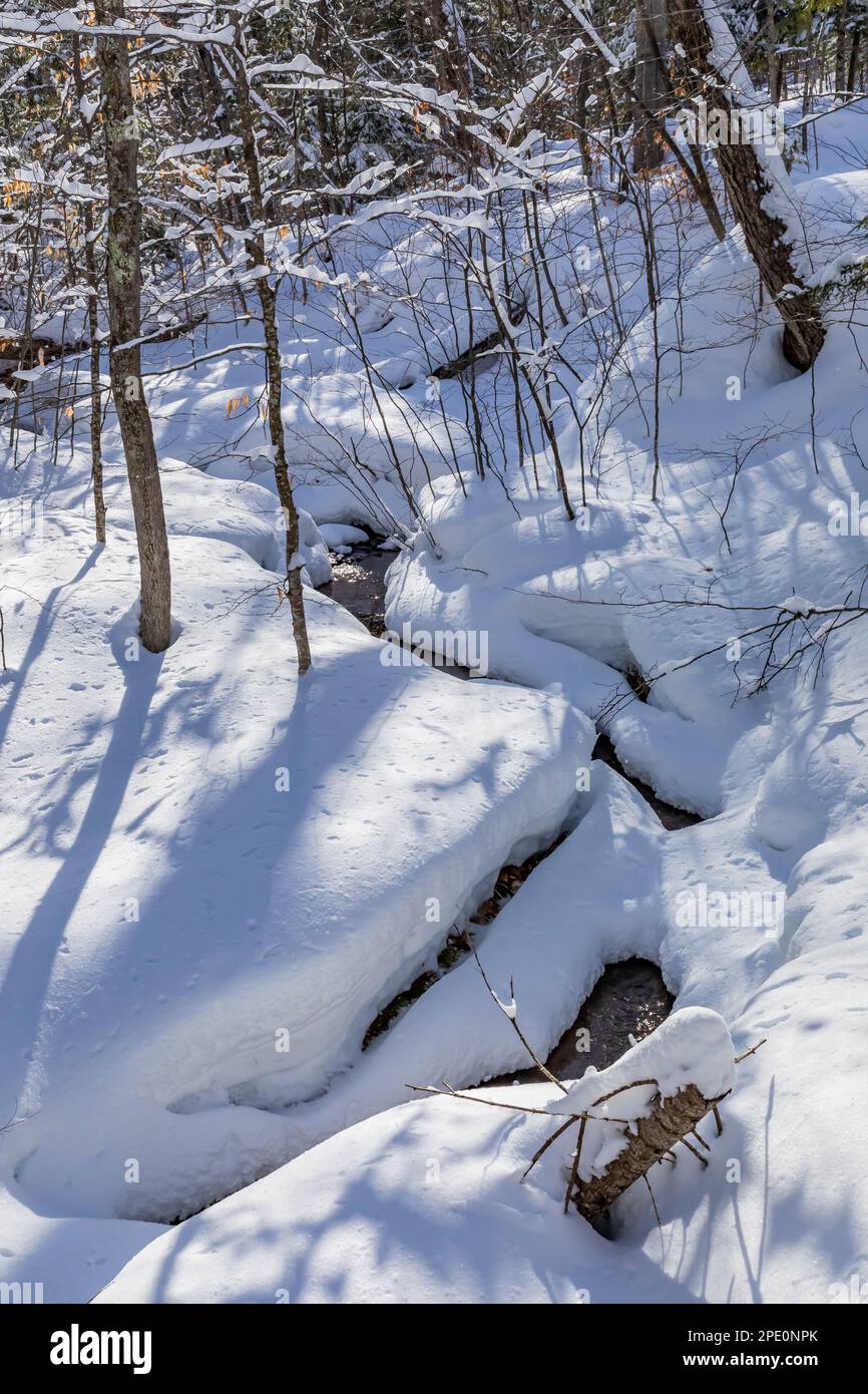 Petit ruisseau et neige fraîche le long des pistes de ski de Munising à Pictured Rocks National Lakeshore, Munising, Upper Peninsula, Michigan, États-Unis Banque D'Images