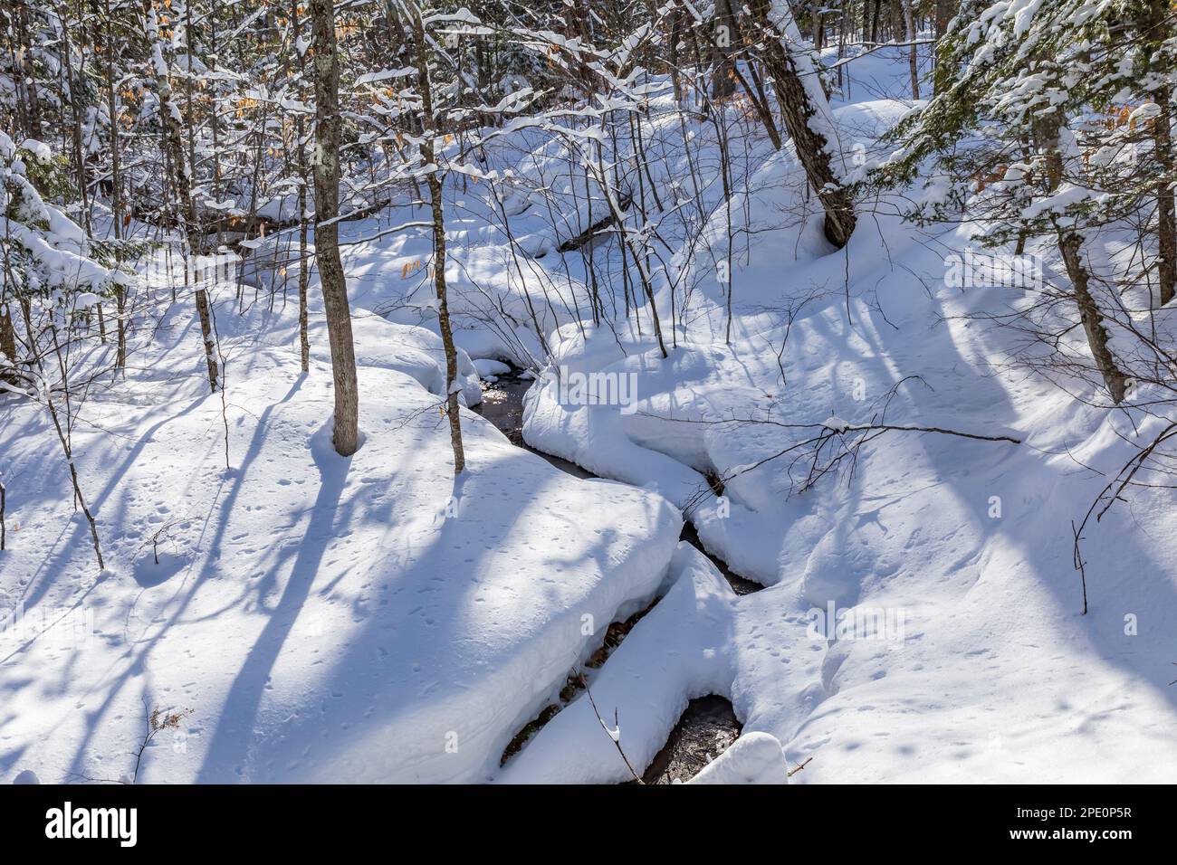 Petit ruisseau et neige fraîche le long des pistes de ski de Munising à Pictured Rocks National Lakeshore, Munising, Upper Peninsula, Michigan, États-Unis Banque D'Images