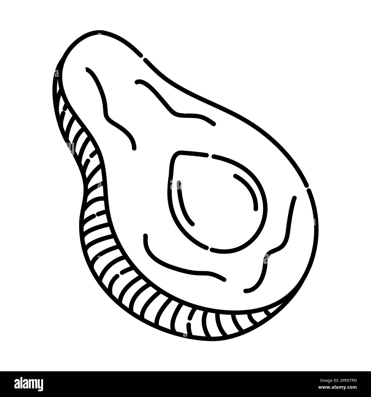 Illustration de lignes vectorielles noir et blanc d'avocat Illustration de Vecteur