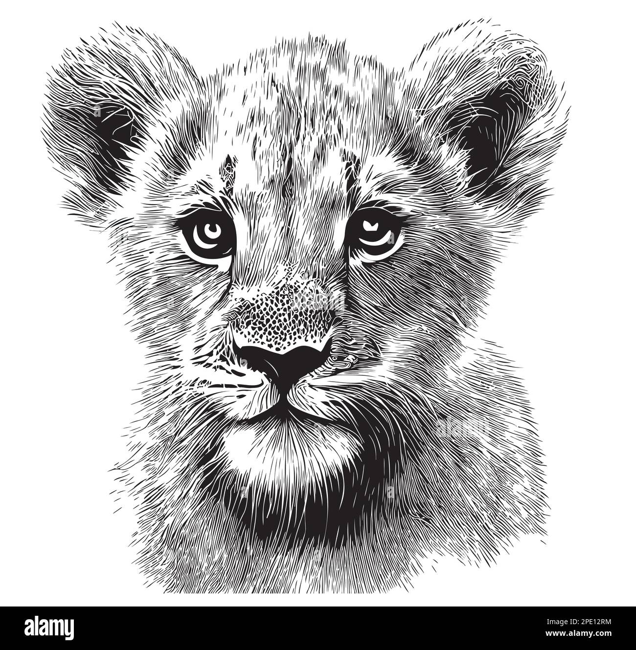 Illustration d'un dessin dessiné à la main par la tête d'un petit lion, Wild Animals Illustration de Vecteur