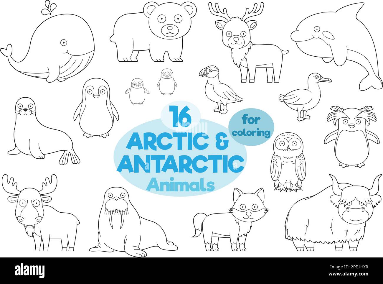 Ensemble de 16 animaux arctiques et antarctiques à colorier dans le style de dessin animé Illustration vectorielle Illustration de Vecteur
