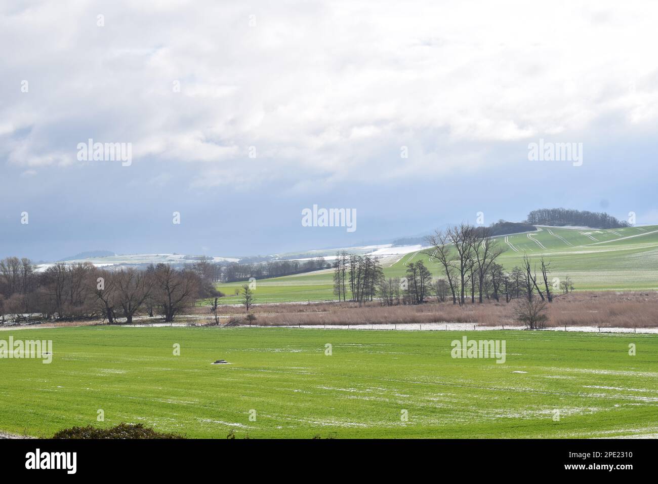 Fin mars neige sur Thürer Wiesen dans l'Eifel Banque D'Images