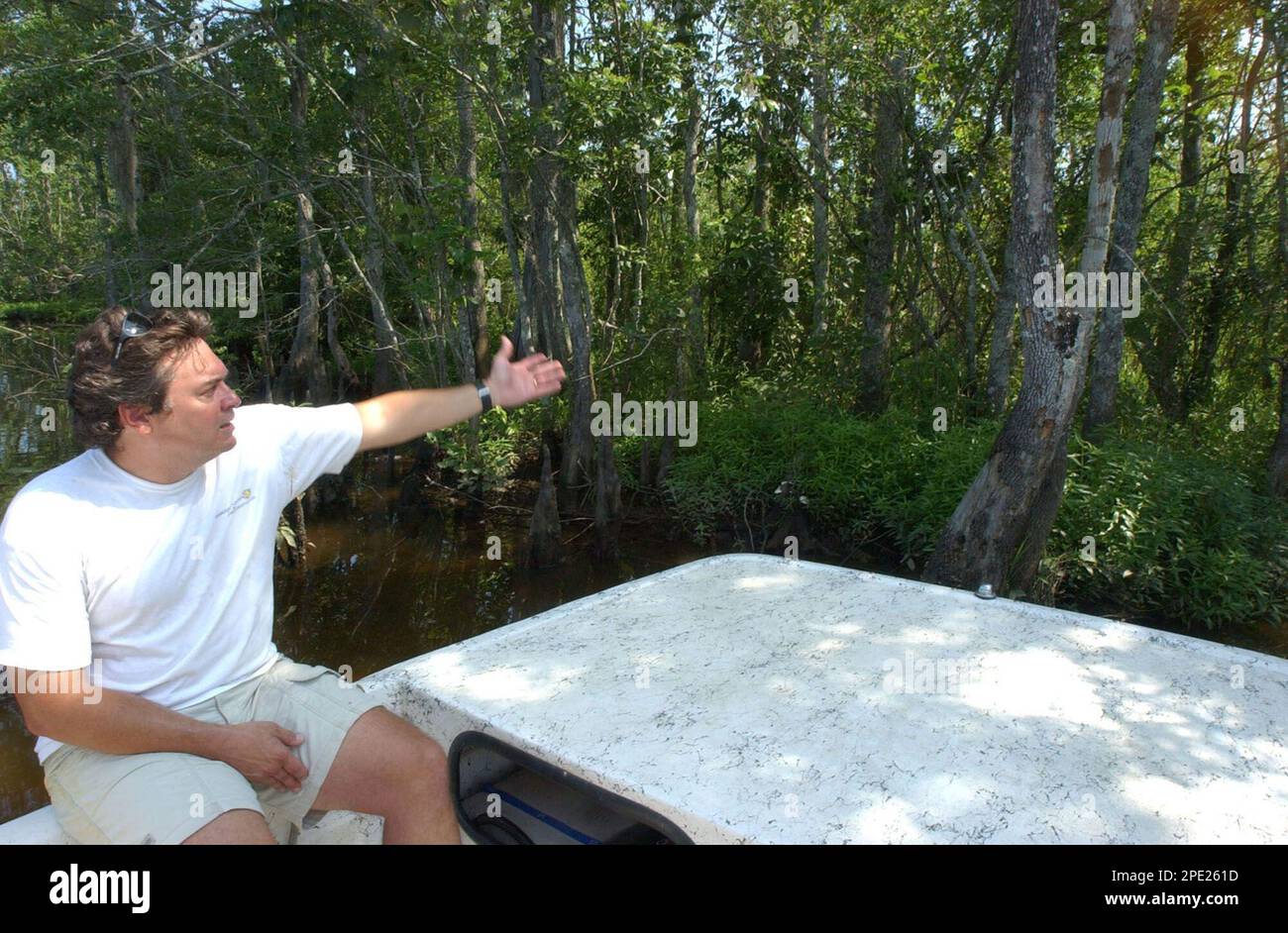 **ADVANCE FOR WEEKEND EDITIONS OF JULY 9 AND 10** Local biologist and anti-logging advocate Michael Greene points to daylight between trees in the recently logged swamps of Manchac, La. on June 16, 2005. (AP Photo/Megan Nadolski) Banque D'Images