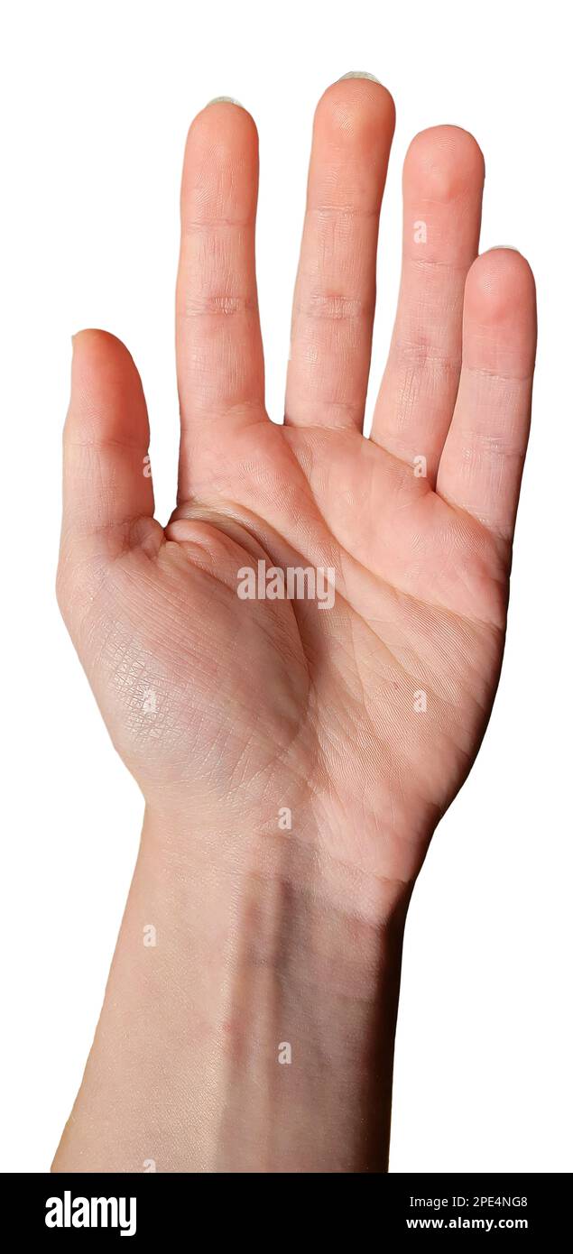 Femme main tendre pour quelque chose. Lignes de palmier pour la lecture de palmier. Palmisme. Main ouverte et prête à aider ou recevoir. Isolé sur fond blanc. Banque D'Images