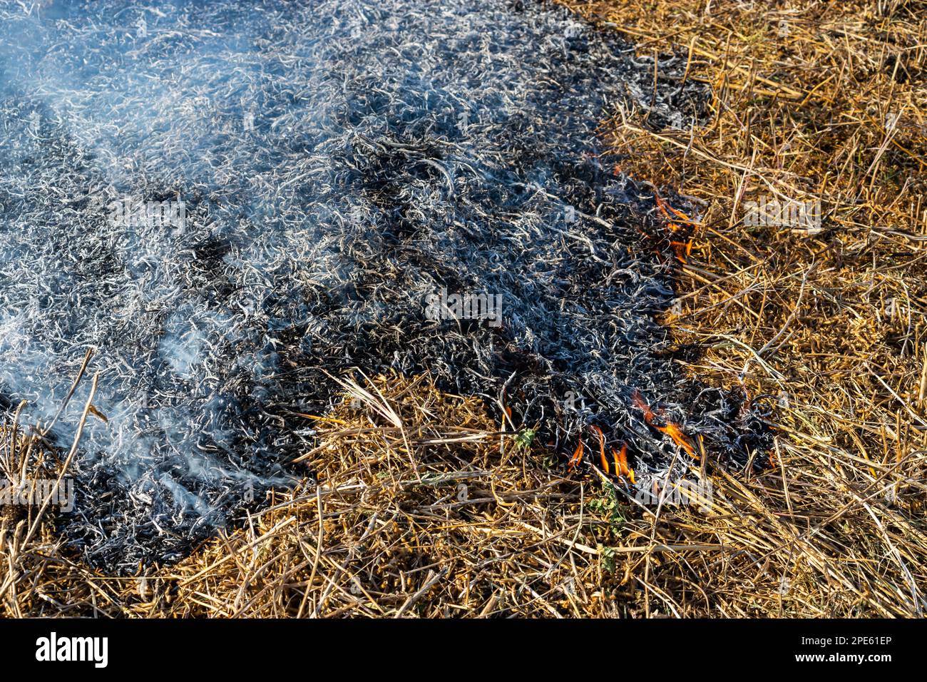 Le bruit de fond en gros plan du feu est en train de passer de la paille brûlée à la cendre noire et à la fumée. Banque D'Images