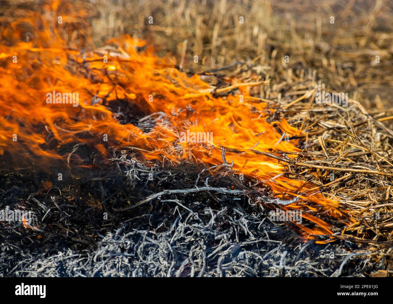Le bruit de fond en gros plan du feu est en train de passer de la paille brûlée à la cendre noire et à la fumée. Banque D'Images