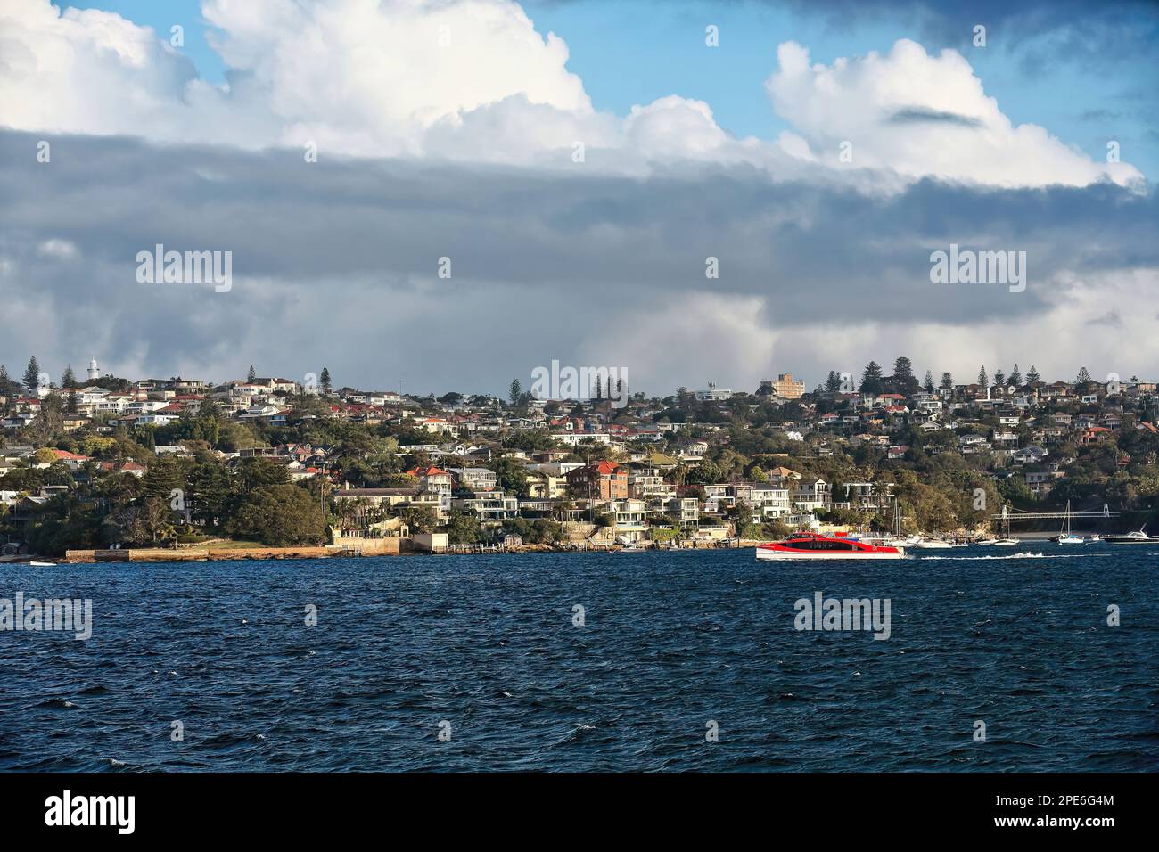 548 vue de la banlieue de Watsons Bay sur la péninsule de South Head à Port Jackson, vue depuis le ferry Manly-Circular Quay. Port de Sydney-Australie. Banque D'Images
