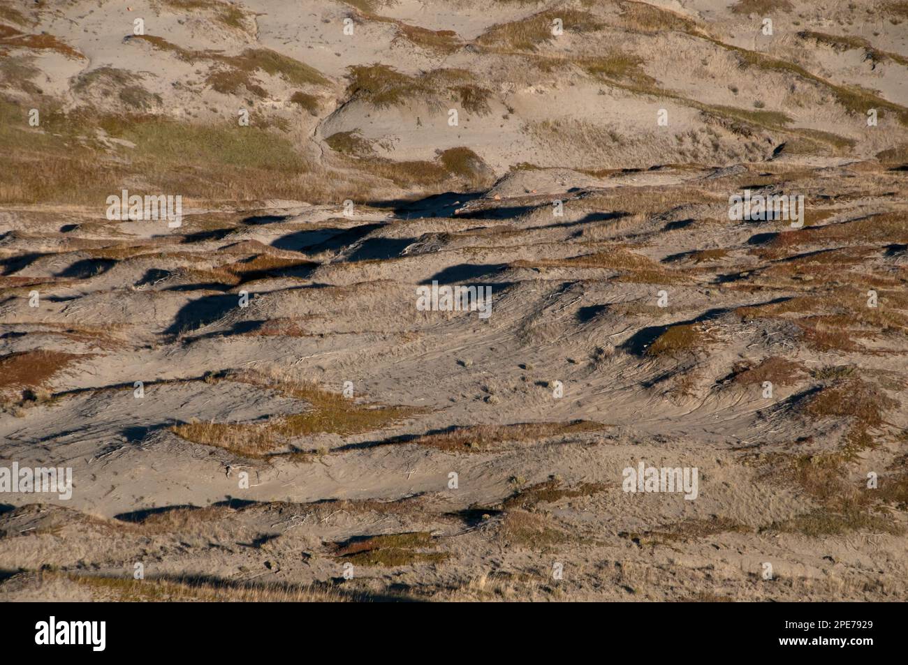 Vue de l'habitat des prairies à herbes courtes, Ouest du Bloc, Prairies N. P. Sud de la Saskatchewan, Canada Banque D'Images