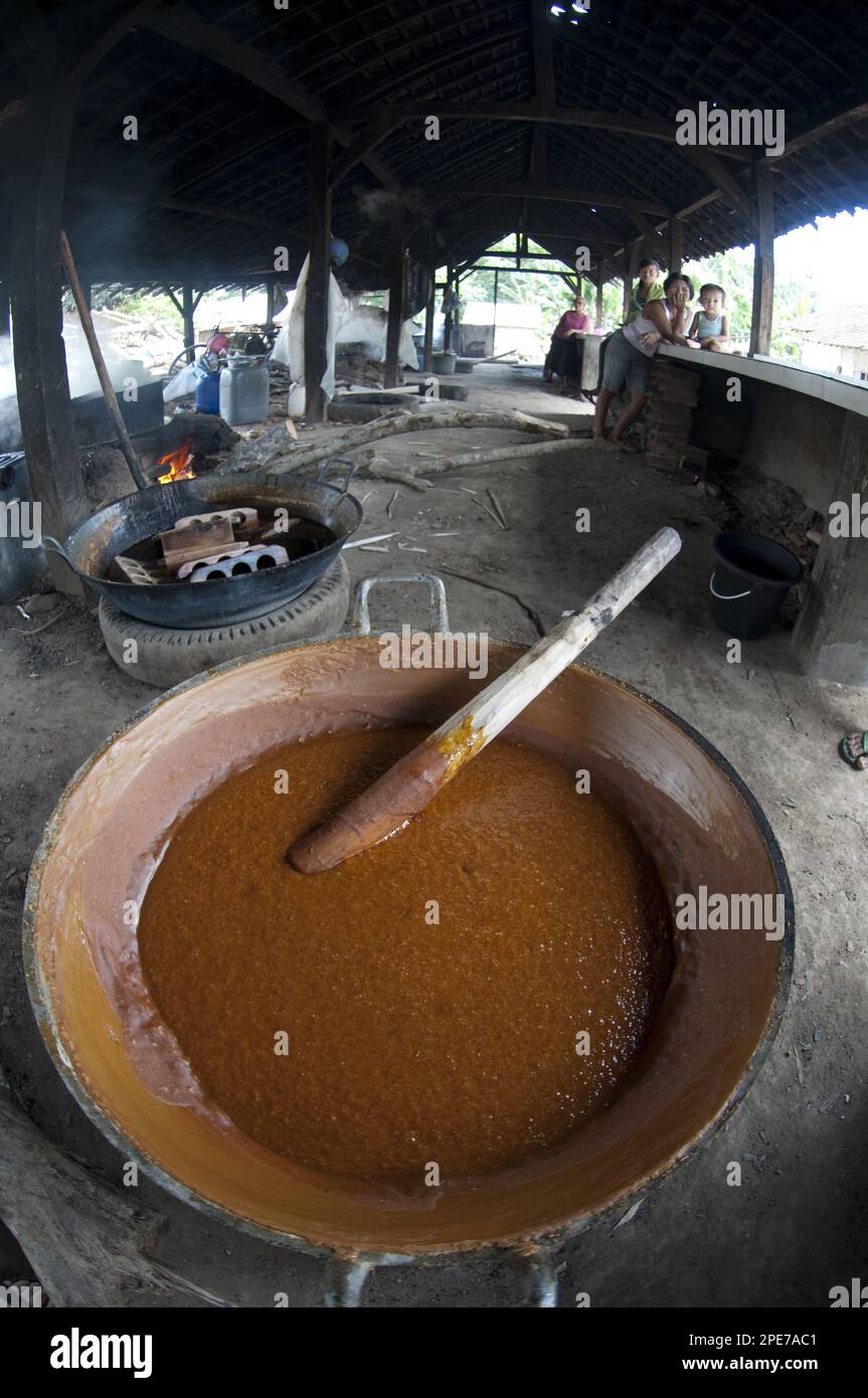 Pot de sucre de palme dans une usine de sucre de palme près de Sukamade, Java-est, Indonésie Banque D'Images