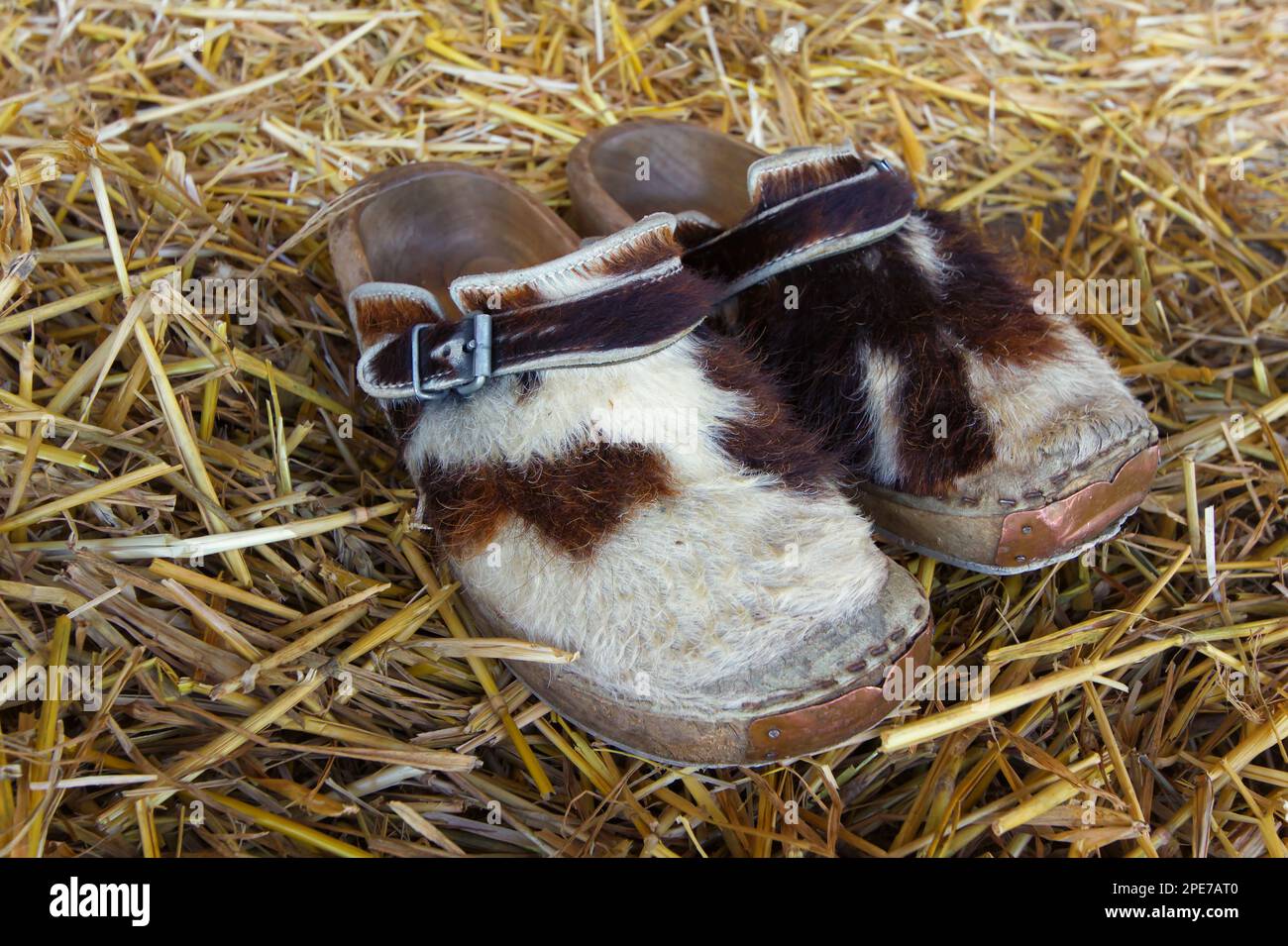 Chaussures traditionnelles d'un agriculteur allemand en fourrure de vache Banque D'Images