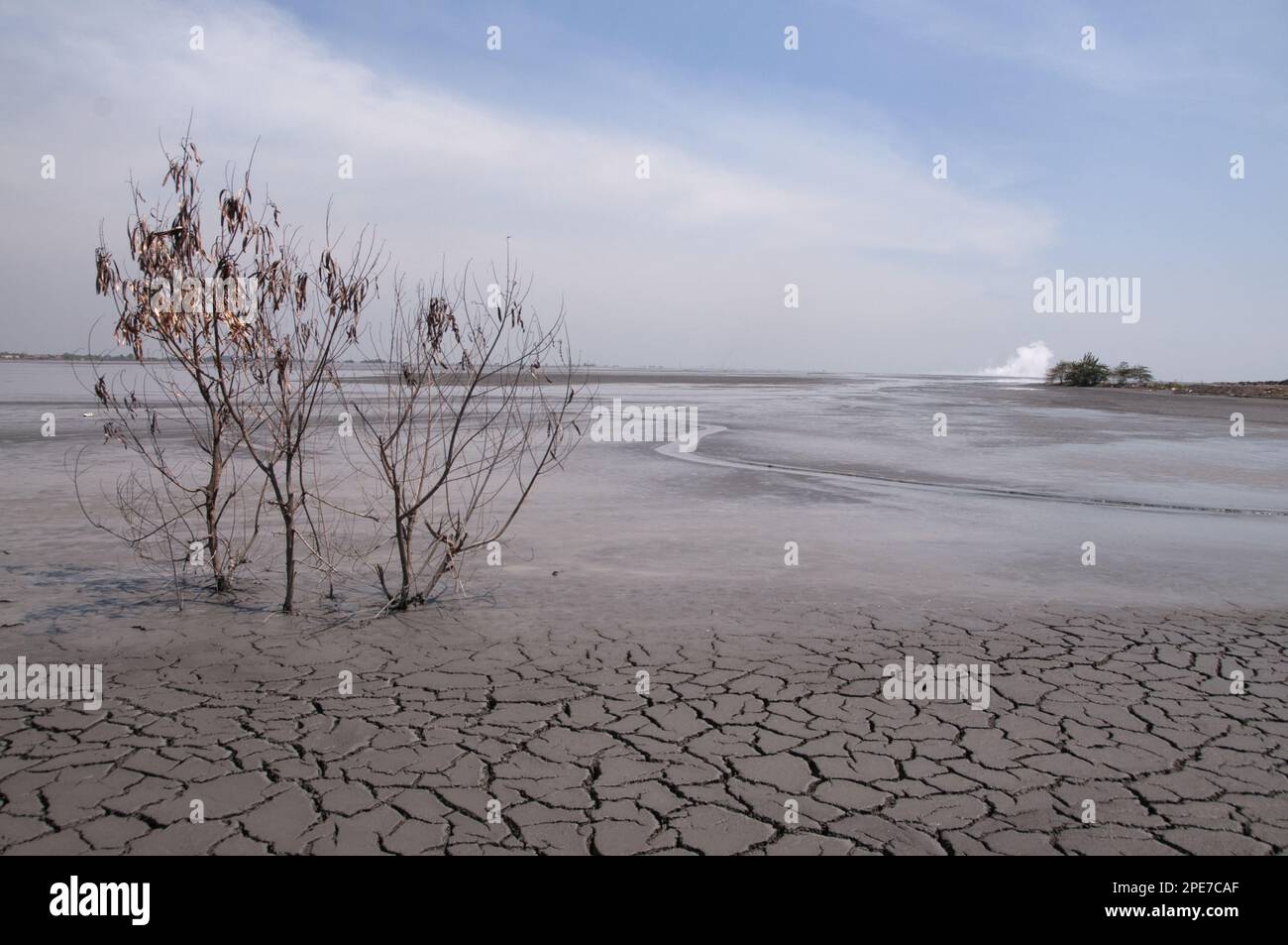 Couvert d'arbres et boue séchée dans le lac de boue du volcan de boue, catastrophe environnementale qui s'est développée après un incident de forage, Porong Sidoarjo, près Banque D'Images