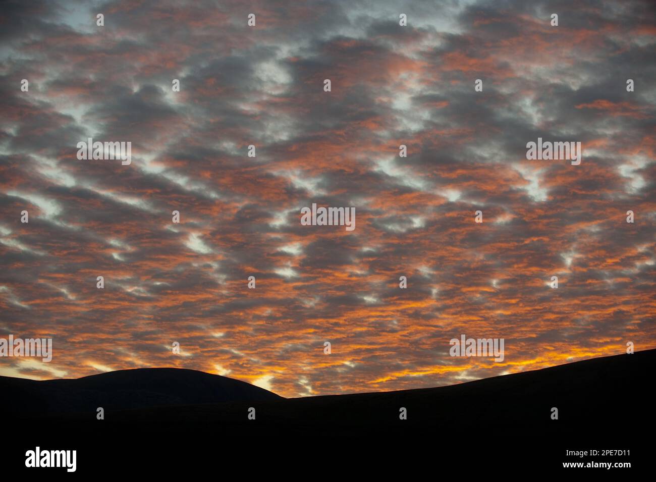 Ciel de maquereau d'Altocumulus au coucher du soleil, Howgill Fells, Cumbria, Angleterre avril Banque D'Images