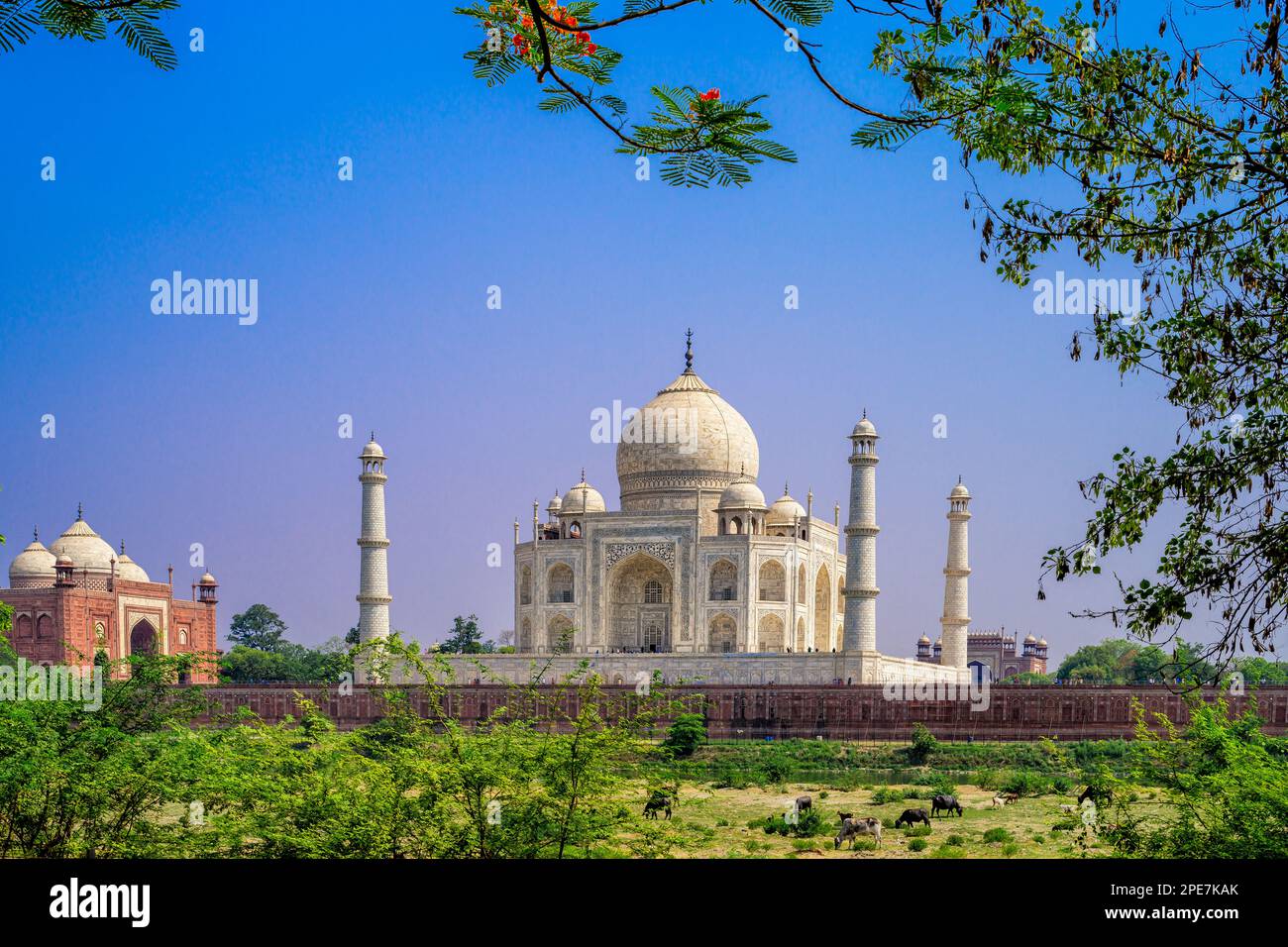 La Riverfront Terrace du Taj Mahal se compose d'une bande de grès rouge ininterrompue avec une décoration élaborée en relief et en incrustations Banque D'Images