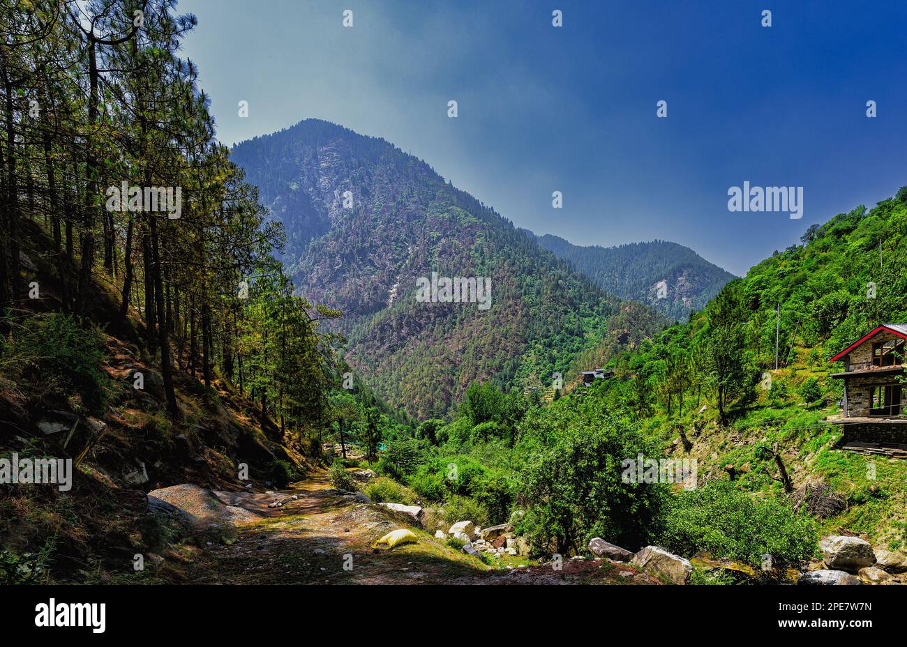 Sentier tranquille le long du ruisseau Kalwari dans Village Deori, Kalwari, Himachal Pradesh Banque D'Images