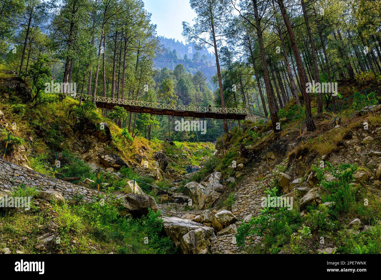 Passerelle traversant un ruisseau de montagne sur les bords extérieurs du parc national du Grand Himalayan dans l'Himachal Pradesh Banque D'Images