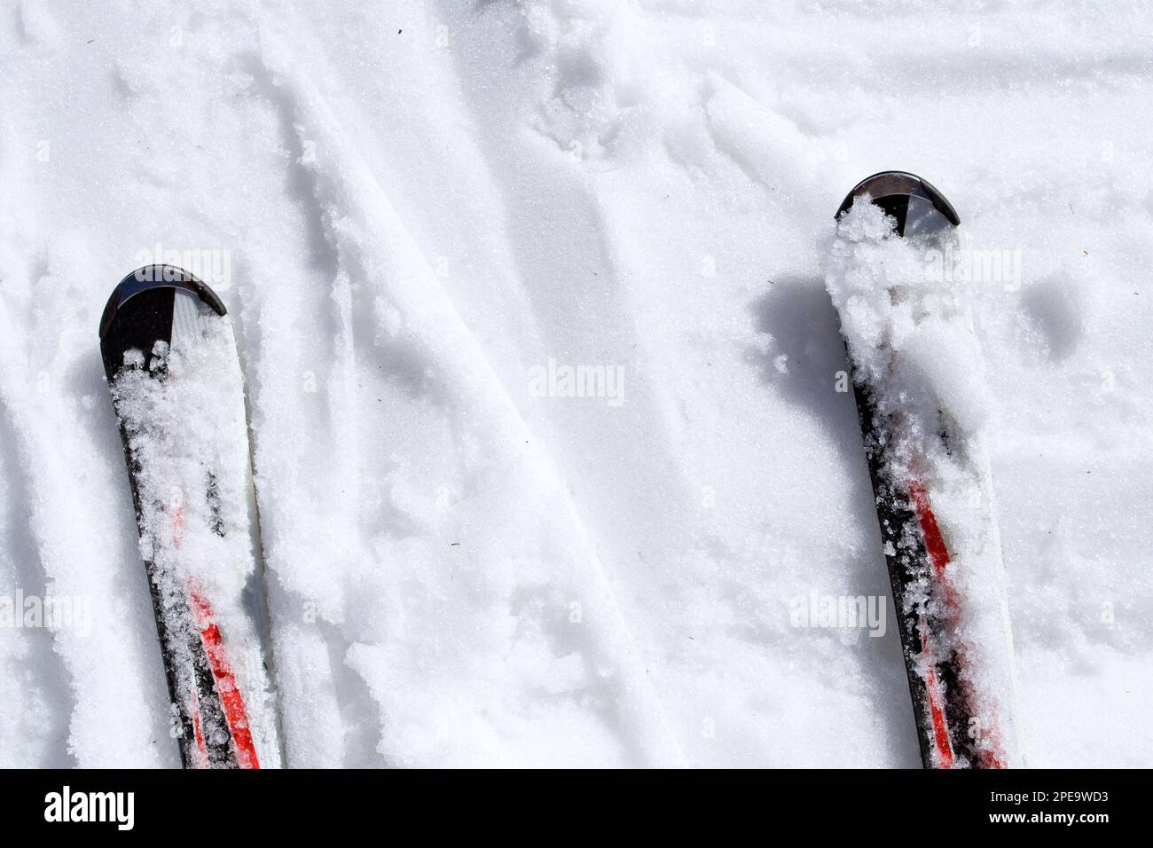 Skis dans la neige humide Banque D'Images