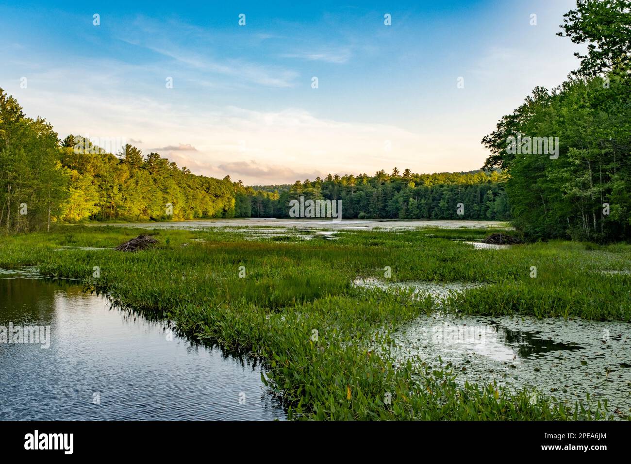 Étang du pont de pierre à Templeton, ma Banque D'Images