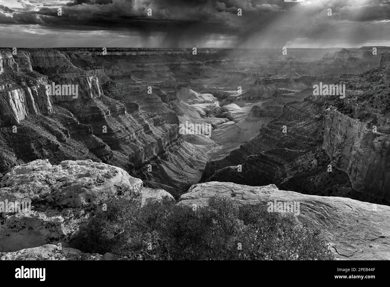 Après-midi du Cap Royal - plateau nord du Grand Canyon, parc national du Grand Canyon, Arizona Banque D'Images