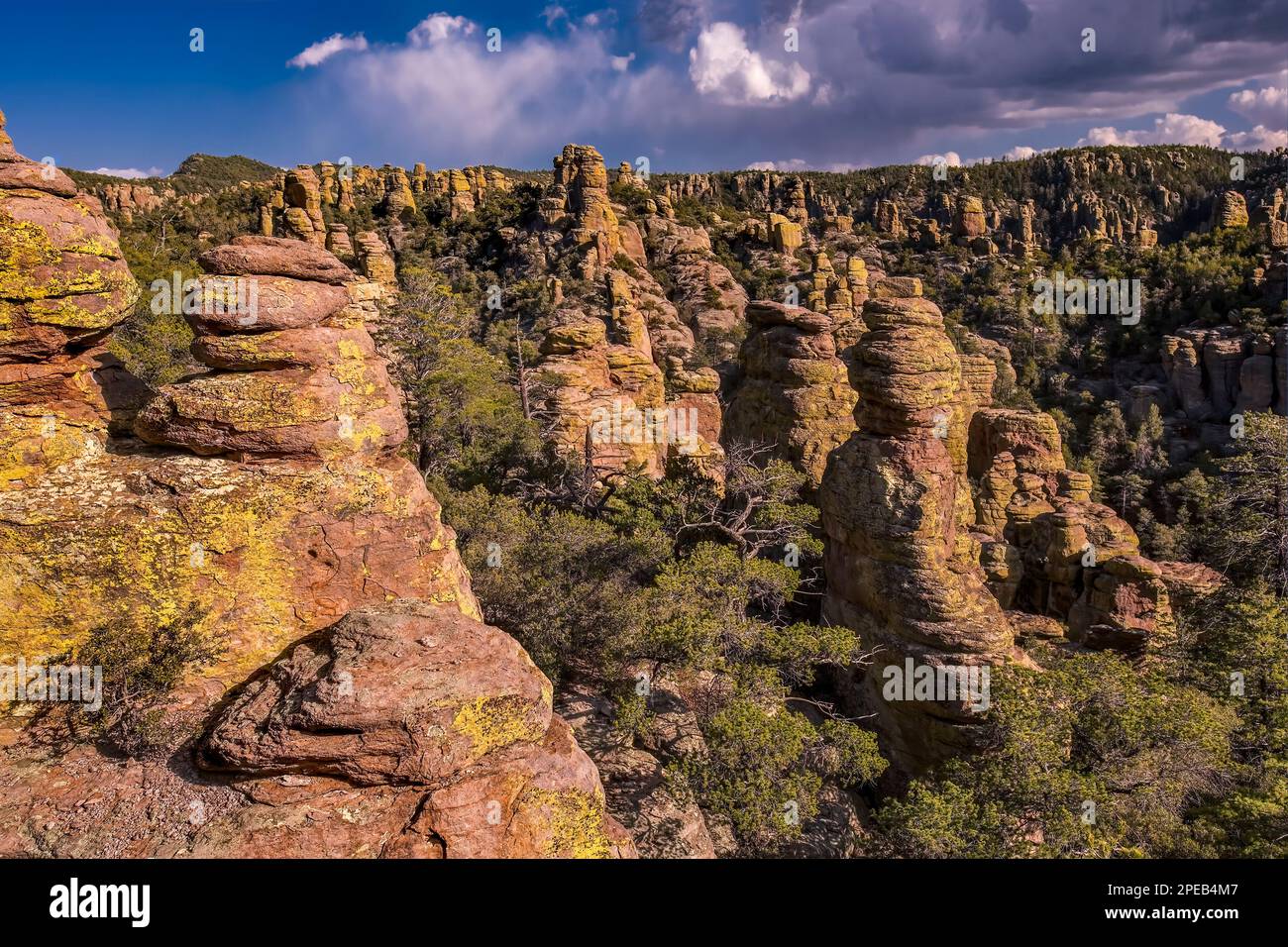 Terre des rochers debout, dépôt de rhyolite volcanique, monument national Chiricahua, Arizona Banque D'Images