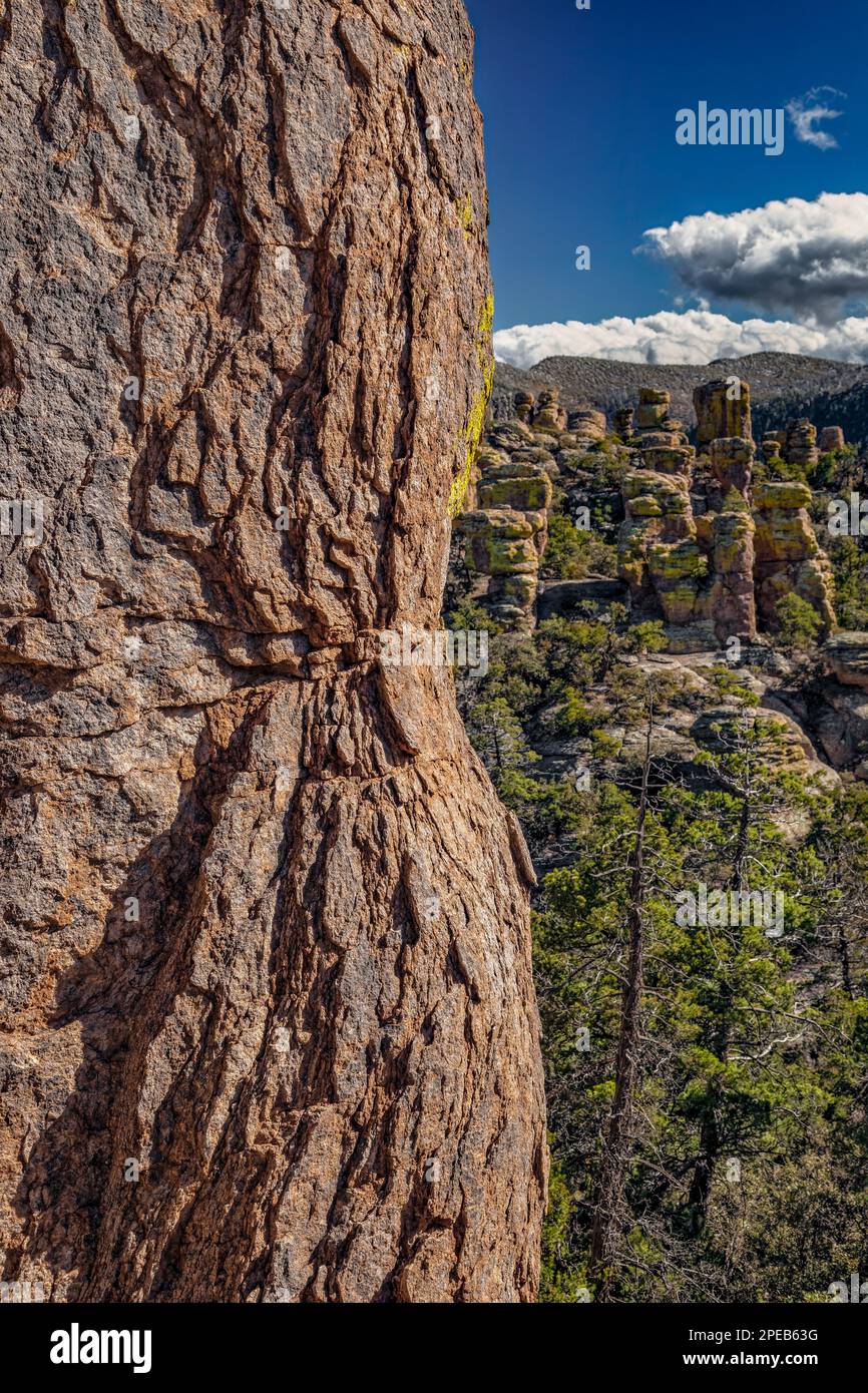 Rhyolite exfoliante, monument national de Chiricahua, Arizona Banque D'Images